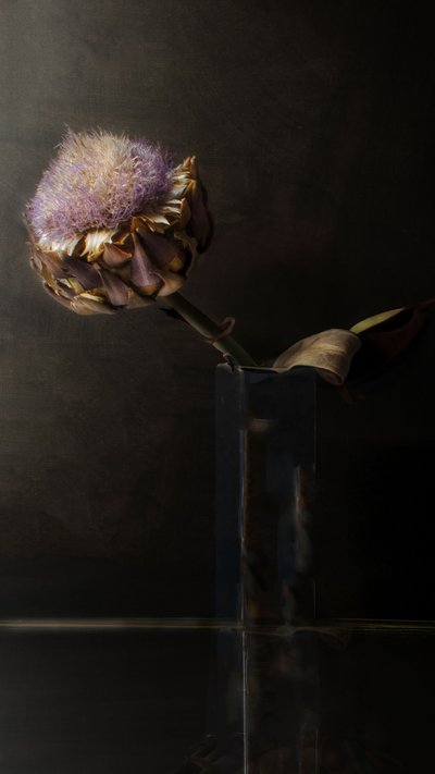 Fiore di carciofo in tono malinconico da Christine SUISSIA