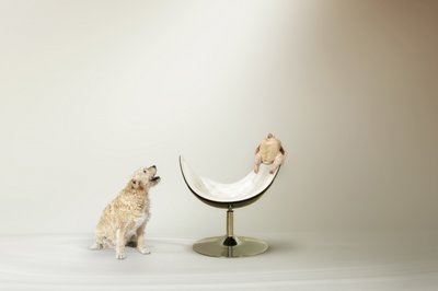 Il dilemma del pollo del cane da Christine von Diepenbroek