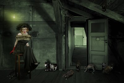 Una donna eccentrica in soffitta da Christine von Diepenbroek