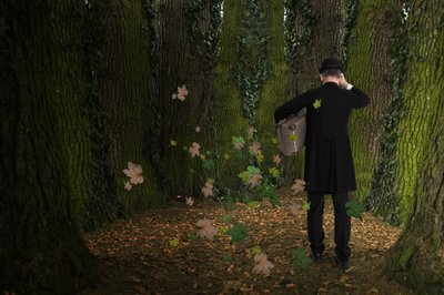 Il viaggio di un uomo nella foresta da Christine von Diepenbroek
