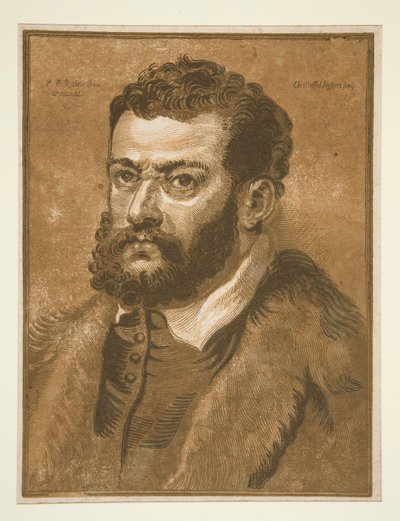 Ritratto di un Uomo con la Barba da Christoffel Jegher