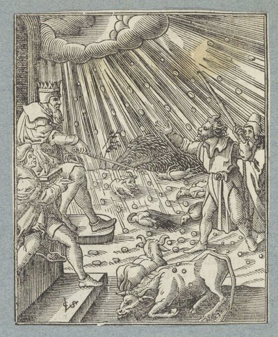 Peste del bestiame o peste di grandine e temporali da Christoffel van Sichem (II)