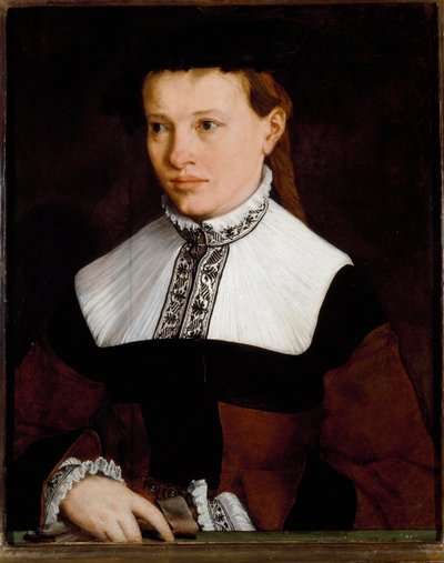Ritratto di Ursula Degnin da Christoph Amberger