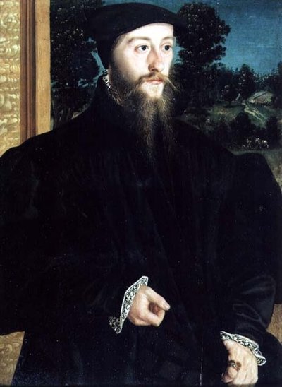 Ritratto di un gentiluomo barbuto da Christoph Amberger