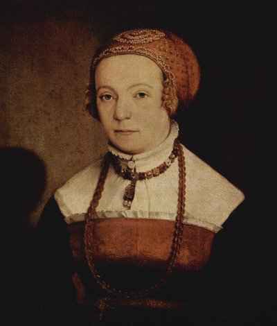 Ritratto di donna da Christoph Amberger