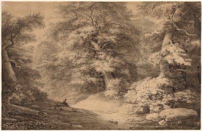 Un bosco di faggi con un viaggiatore che riposa da Christoph Nathe