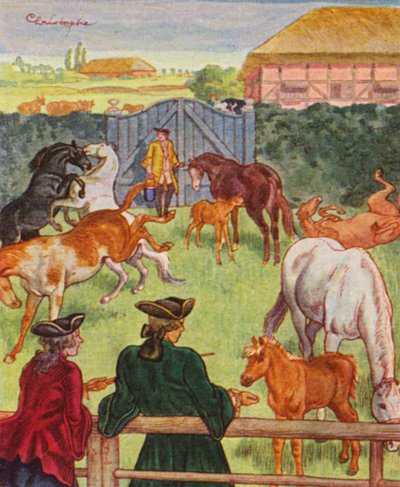 Allevamento di cavalli da Christophe (1856 1945)