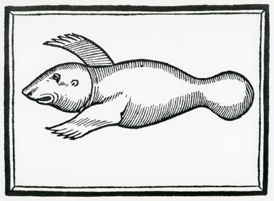 Un pesce chiamato 
