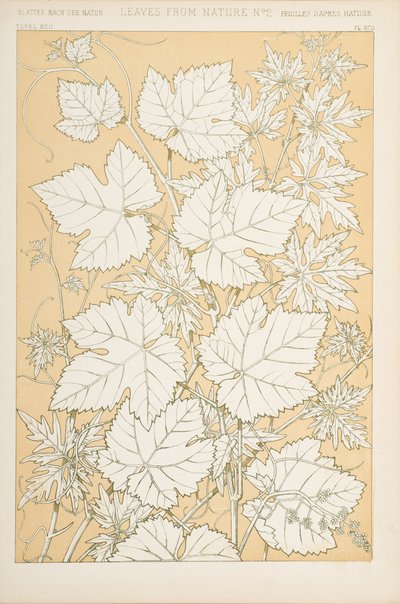 Foglie dalla Natura, 1868 da Christopher Dresser
