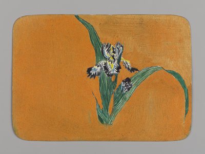 Piccola carta con iris, ca. 1880 da Christopher Grant La Farge