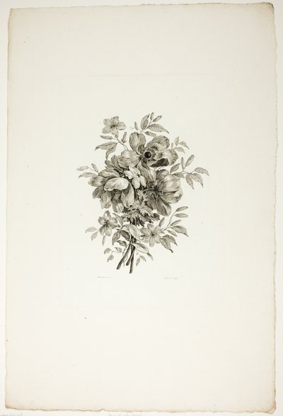Bouquet con papaveri, da una raccolta di diversi mazzi di fiori, inventati e disegnati da Jean Pillement e incisi da P. C. Canot da Christopher Norton