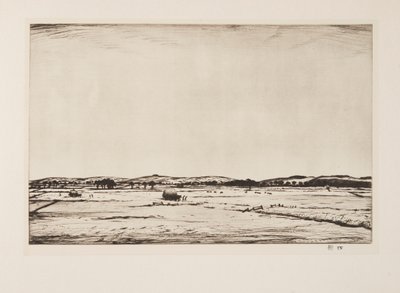 Sussex Downs da Christopher Richard Wynne Nevinson