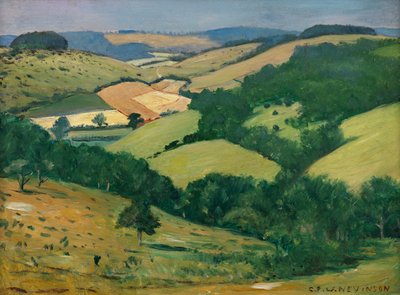 Paese ondulato (le colline sotto Goodwood) da Christopher Richard Wynne Nevinson