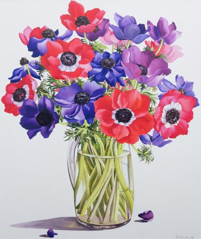 Anemoni in una brocca di vetro da Christopher Ryland