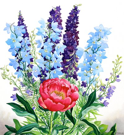 Delphinium blu da Christopher Ryland