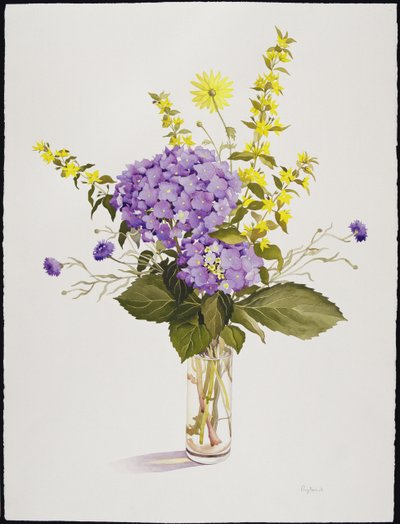 Ortensia blu con loosestrife giallo da Christopher Ryland