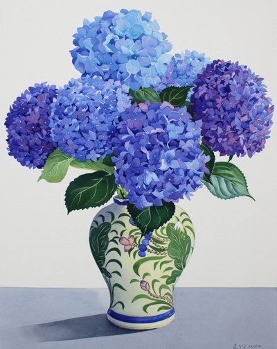 Ortensie blu da Christopher Ryland