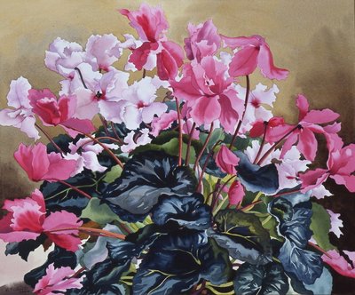 Ciclamino, 2004 da Christopher Ryland