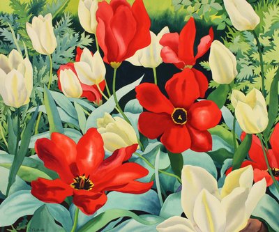 Tulipani precoci da Christopher Ryland