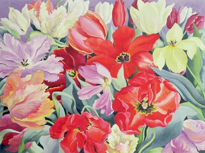 Tulipani in massa da Christopher Ryland