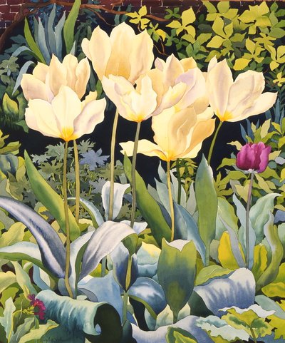Tulipani pallidi da Christopher Ryland