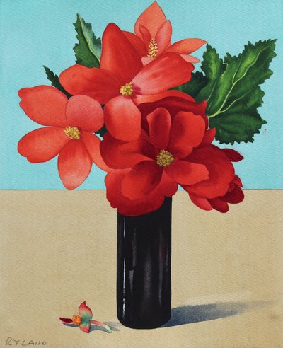 Begonie rosse da Christopher Ryland