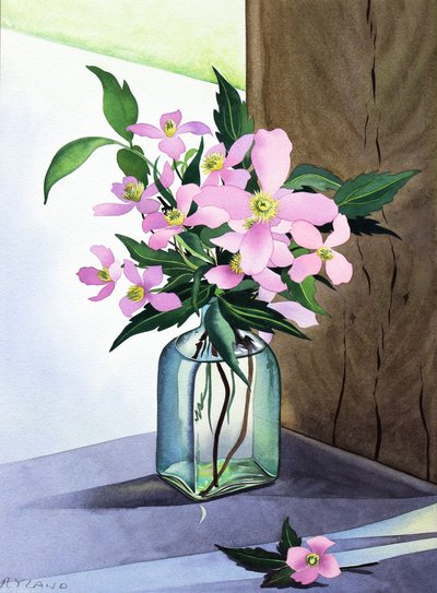 Natura morta con clematide rosa da Christopher Ryland