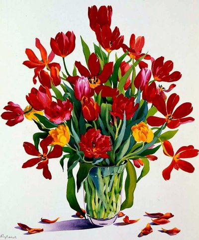 Tulipani da Christopher Ryland