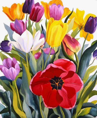 Tulipani, 2007 da Christopher Ryland