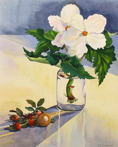 Begonia Bianca e Cinorrodi da Christopher Ryland