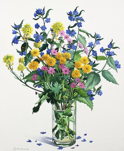 Fiori Selvatici con Alkanet, 2021 da Christopher Ryland