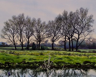 Alberi invernali da Christopher Ryland