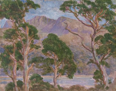 Cader Idris da Christopher Williams