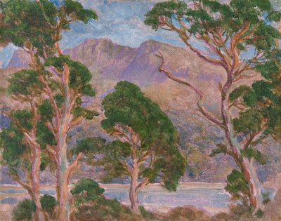 Cader Idris, 1893-1934 da Christopher Williams