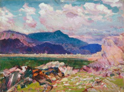 Dyffwys, Galles del Nord, c. 1900-1930 da Christopher Williams