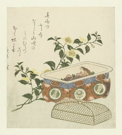 Rana e ramo di Kerria Japonica da Chôtei Hisazumi