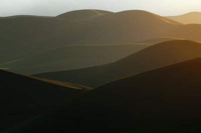 Colline dorate ondulate da Chuanxu Ren