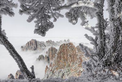 Cime invernali avvolte nella nebbia da Chuanxu Ren