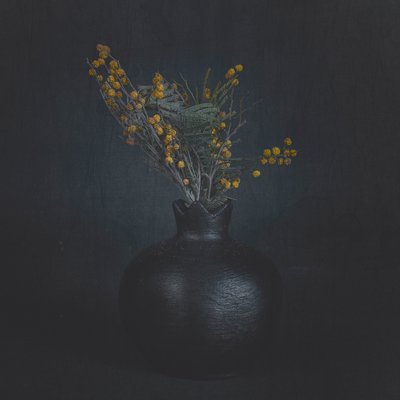  da Cicek Kiral