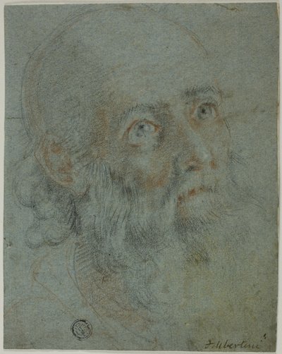 Testa di un uomo barbuto, guardando in alto a destra: Studio per Santa Caterina d