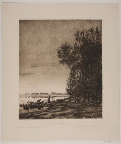Alberi vicino a un lago da Cilius Johannes Konrad Andersen