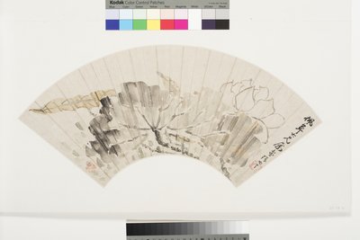 Fiore di loto e foglie, inizio XIX secolo da Cining Zhang