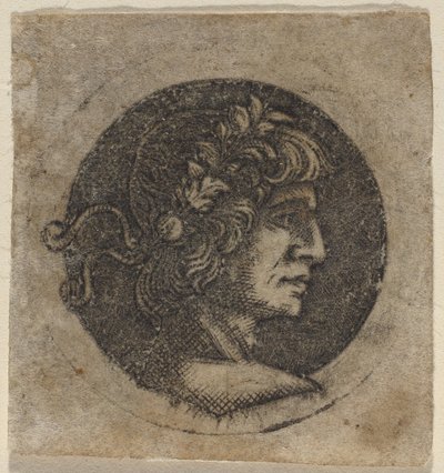 Testa di un imperatore romano da Circle of Francesco Francia