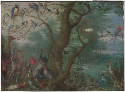 Concerto di uccelli da Circle of Jan van Kessel the Elder