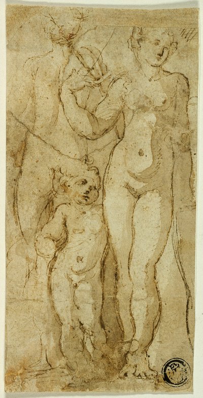 Venere e Cupido da Circle of Parmigianino