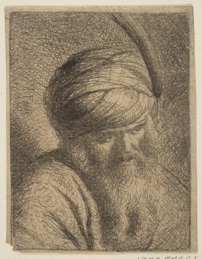 Busto di un uomo con turbante piumato e lunga barba da Circle of Rembrandt
