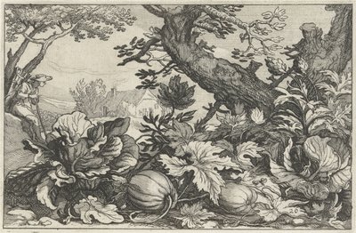Paesaggio con zucche e cavoli da Claes Jansz. Visscher (II)
