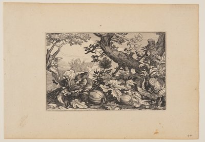 Albero e meloni, da Paesaggi (Verscheyden aerdige Lanthuysen...) da Claes Jansz. Visscher