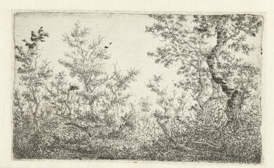 Radura nel bosco da Claes van Beresteyn