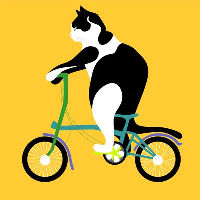 gatto su una bicicletta Brompton da Claire Huntley